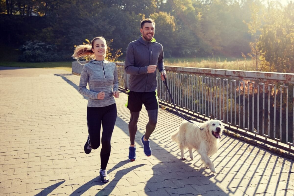 7 atividades físicas para praticar com o cachorro