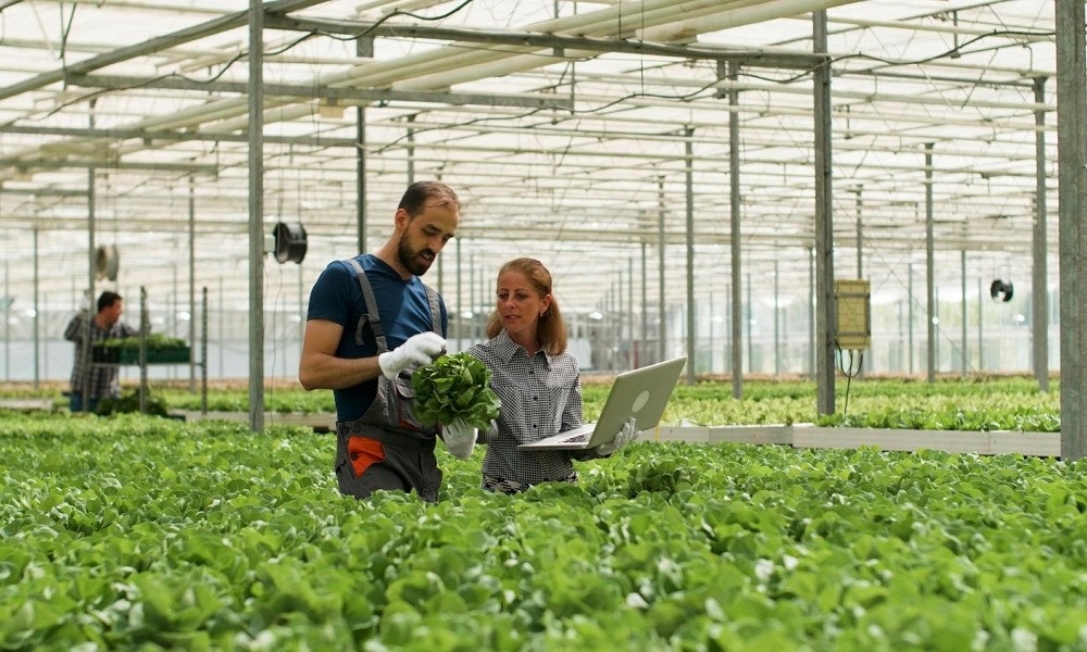 Economia brasileira cresce 1,4% no 1º tri de 2025 e o agronegócio brilha