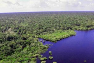 “Exploração de petróleo na Amazônia equivale a emi...