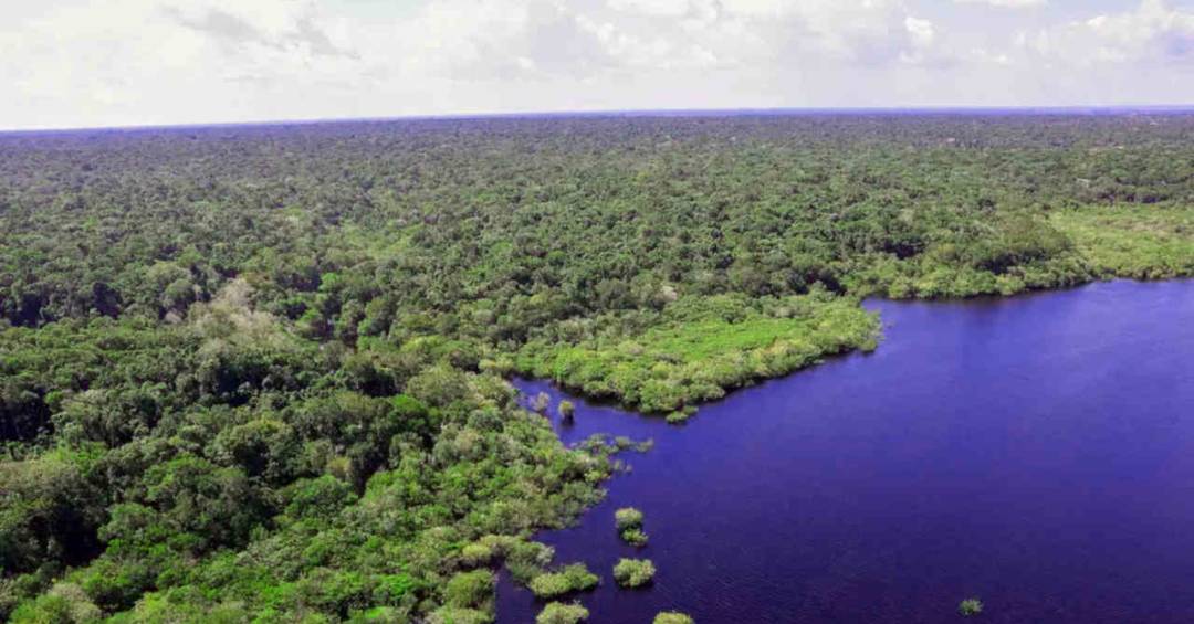 “Exploração de petróleo na Amazônia equivale a emi...