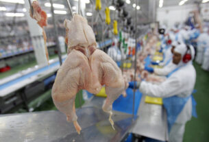 Exportação de carne de frango do RS à China já estava suspensa antes de caso de gripe aviária