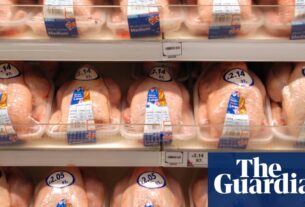 Frango clorado e carne de hormônio não crucial para o acordo comercial do Reino Unido, sugere os EUA | Política comercial