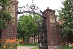 Harvard investirá US$ 250 milhões em pesquisa após cortes de Trump