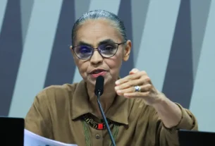 Lula e Marina Silva conversam sobre ataques em comissão do Senado – Brasil de Fato
