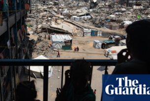 MPs Tory e pares seniores Break Ranks para pedir reconhecimento da Palestina | Territórios palestinos