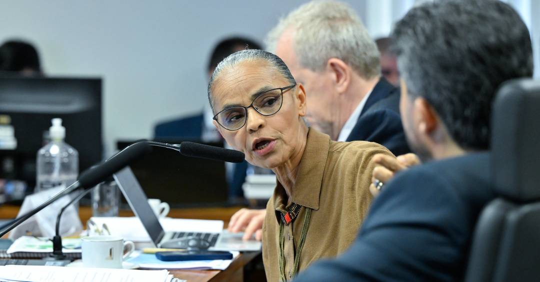 Marina Silva: Frase do dia: Marina Silva