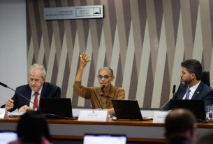 Marina Silva, alvo de ataques, expõe o custo de defender o meio ambiente no Brasil