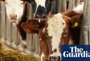 O cão de vigilância pede que a Escócia tome medidas de clima repetidamente em falta de alvos climáticos | Política verde