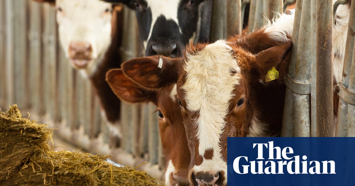 O cão de vigilância pede que a Escócia tome medidas de clima repetidamente em falta de alvos climáticos | Política verde