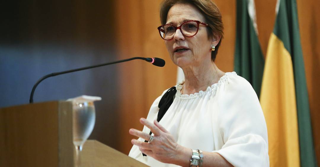 O vácuo no governo Lula por onde passou a boiada c...