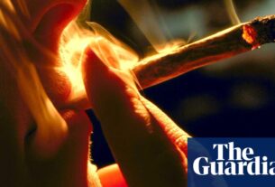 Preocupado com a maconha: Londres deveria seguir Nova York e descriminalizar a cannabis? | Cannabis