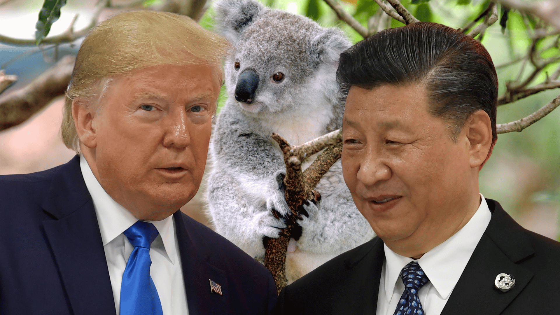Reprodução do decodificador: Australia Waltzes com duas superpotências