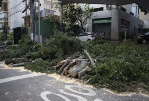 Ventos fortes derrubam árvores e deixam ao menos 2 feridos em São Paulo
