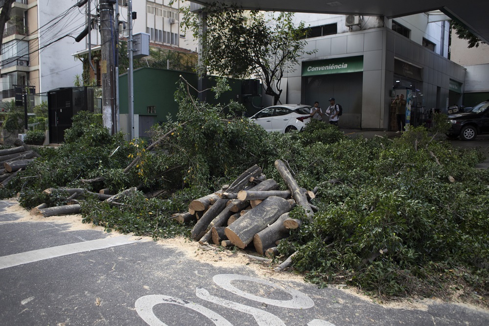 Ventos fortes derrubam árvores e deixam ao menos 2 feridos em São Paulo