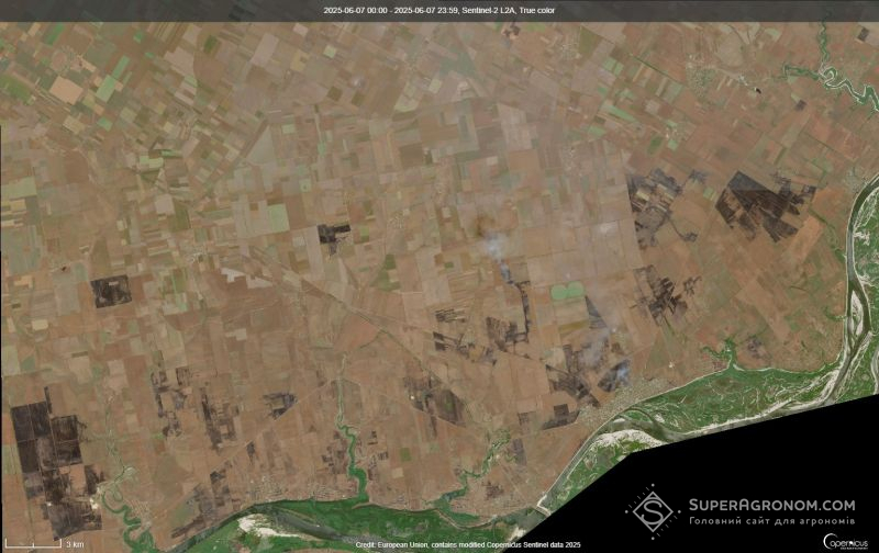 A Rússia queimou 15.000 hectares de campos na região de Kherson com drones, prejudicando as colheitas