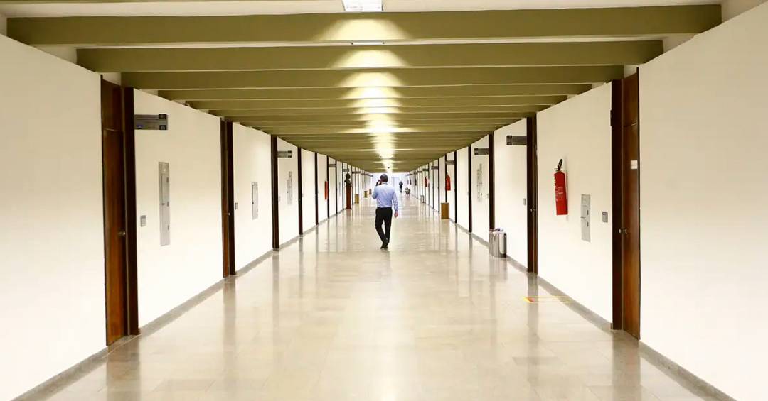 A união faz a sobrevivência: as estratégias de par...
