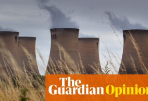 As árvores antigas são enviadas para o Reino Unido e depois queimadas - usando bilhões de subsídios 'verdes'. Pare esta loucura agora | Dale Vince