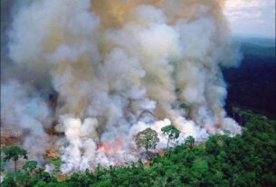 Amazonia