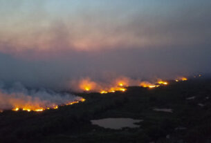 Câmara dos Deputados aprova punição maior para quem provocar incêndio florestal