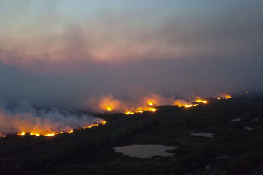 Câmara dos Deputados aprova punição maior para quem provocar incêndio florestal