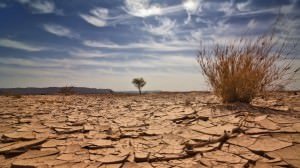 Desertificação no Seridó atinge nível máximo de degradação e será tema de audiência pública