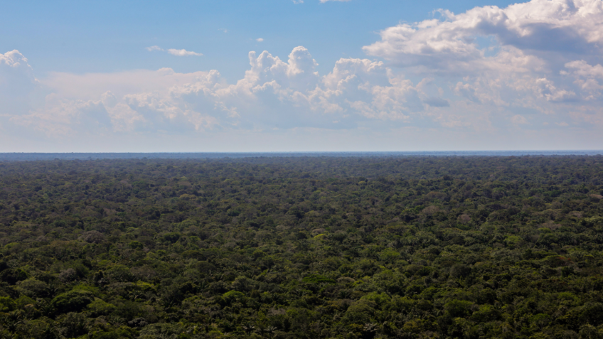 O estudo também revelou que mais de 90% dos desmatamentos na Amazônia são ilegais