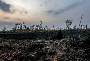 Desmatamento na Amazônia registra aumento de 92% em maio