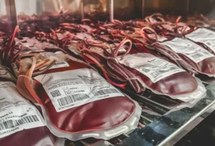 Dia Mundial do Doador de Sangue: uma única doação pode salvar 3 vidas