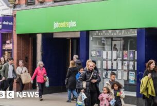 Empregos do governo apóiam os planos de 'uma bagunça', as autoridades do DWP dizem à BBC