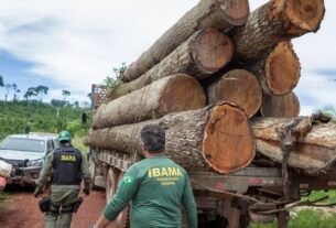 Governo federal anuncia financiamento recorde do Fundo Amazônia para combate ao desmatamento