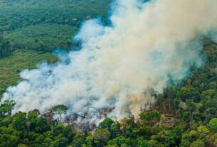 Jornal da Unesp | Brasil tem possibilidades reais de zerar balanço de emissões até 2050, analisa pesquisador da Unesp