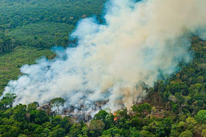 Jornal da Unesp | Brasil tem possibilidades reais de zerar balanço de emissões até 2050, analisa pesquisador da Unesp