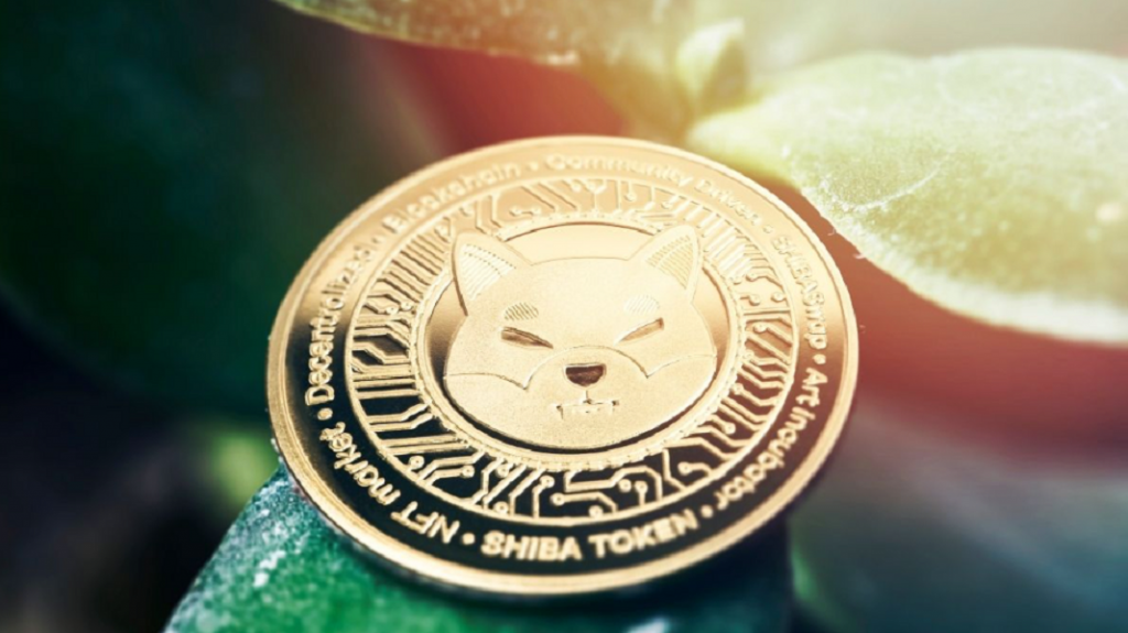 Memecoins: ‘Criptomoedas meme’ já transformaram R$ 1 mil em R$ 1 milhão – investimento vale o risco?
