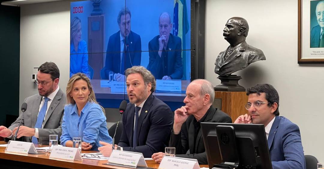 Ney Matogrosso participa de audiência pública para...