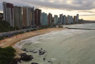 Praia de Miami recebe ação para prevenir proliferação de ratos