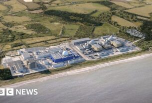 Sizewell C Nuclear Slag recebe £ 14,2 bilhões de investimentos governamentais