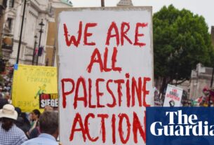 Vandalismo da base da RAF Não é suficiente para justificar a proibição de ação da Palestina, diz o ex-ministro | Segurança do Reino Unido e Contra-Terrorismo
