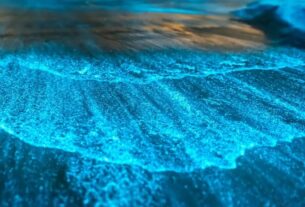 microalgas iluminam a Lagoa de Jacaroá com brilho azul intenso à noite