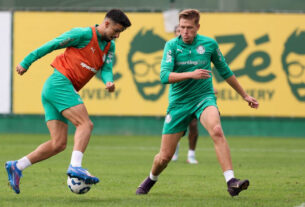 Agenda L!: curtinhas do Palmeiras do dia 13/07/2025