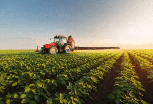 Agro pode perder US$ 5,8 bilhões com tarifas dos EUA