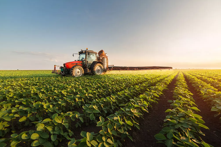 Agro pode perder US$ 5,8 bilhões com tarifas dos EUA