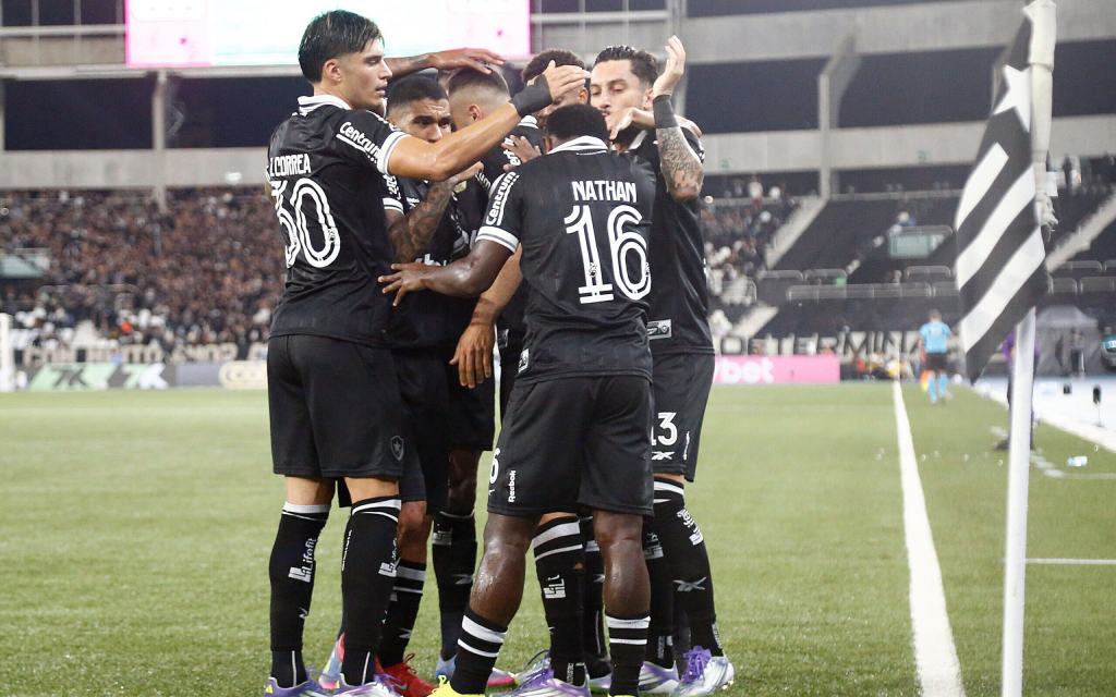 Botafogo volta a campo na Copa do Brasil em busca de afirmação