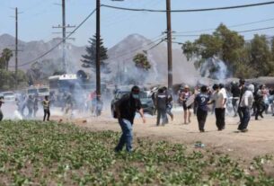Cerca de 200 são presos em operação caótica da ICE em fazenda de cannabis na California. Uma pessoa se feriu