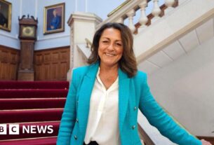 Conselho de Kent liderado pela reforma exige mais vistos de assistência social no exterior