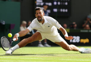 Djokovic defende escrita contra Cobolli em Wimbledon; entenda