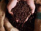EUA consideram isenção de tarifas para produtos brasileiros não cultivados no país