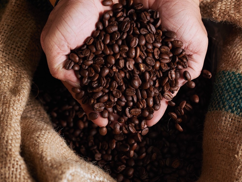 EUA consideram isenção de tarifas para produtos brasileiros não cultivados no país