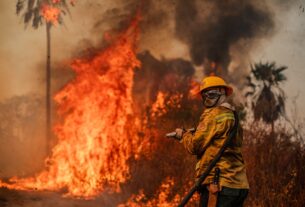 Fundo Amazônia destina recursos para combate a incêndios em biomas não amazônicos
