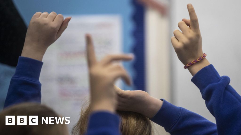 Lib Dems chamam o limite de lucros de envio da escola