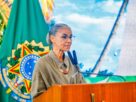 Lula deve vetar trechos do PL do Licenciamento Ambiental, diz Marina Silva